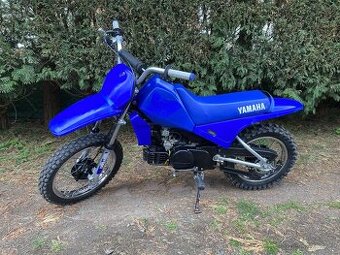 Yamaha PW 80 - 1