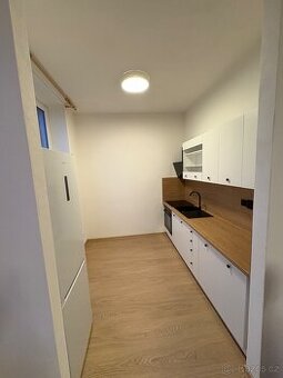 Pronájem byt 1+kk Znojmo - 1