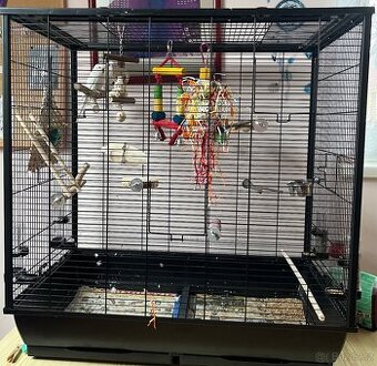 2 andulky (pár) s klecí