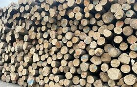 Palivové dřevo dříví akce do vyprodání zásob