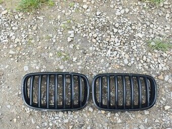 Ledviny bmw e70 e60 e36 pred fl.