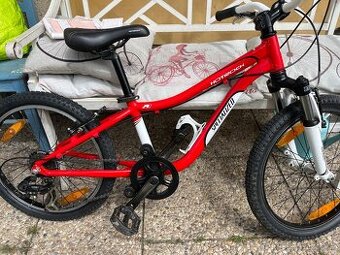 Specialized 20”