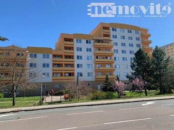 Pronájem byty 2+kk, 62 m2 - Hradec Králové - Nový Hradec Krá - 1