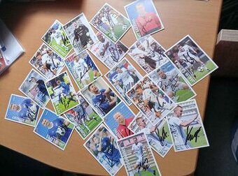 Baník Ostrava kartičky (sezóna 2018/19)