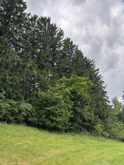 Prodám pozemky v katastrálním území Český Dub