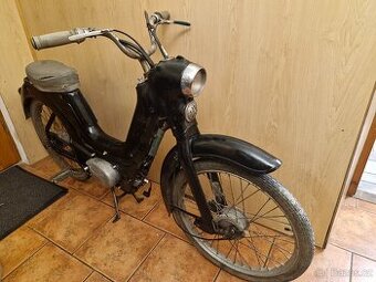 Jawetta 551