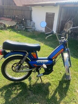 Moped ramzey - 1