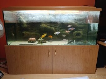 Akvarium 450 l