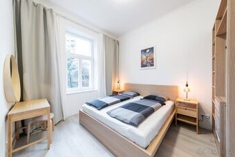 Стильна 2kk квартира в центрі Праги (Žižkov)