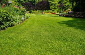 Zahradnické a domácí práce všeho druhu