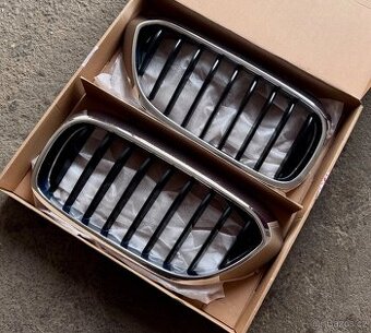 LEDVINKY/ PŘEDNÍ MASKA BMW řady 5 G30/G31, originál.