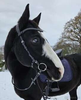 Uzdečka bez nánosníku