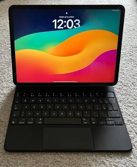 iPad Pro M2 11''- 256 GB + Magic Keyboard + Apple Pencil
