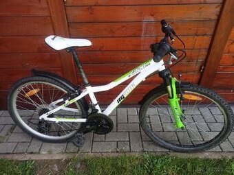 Detske kolo 24"