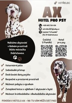 HOTEL PRO PEJSKY AX / VÝCVIK PSŮ
