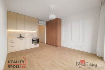 Pronájem, byty/1+kk, 34 m2, U Borského parku 3060/18, Jižní