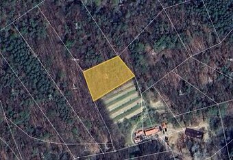 Prodej podílu 16/35 lesa 899 m², Stříbrnice - 1