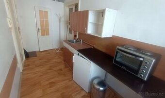 Pronájem 1+1 České Budějovice, Skuherského na Pražském předm