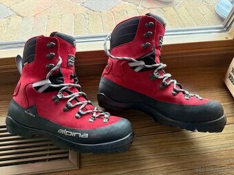 Backcountry Alpina Alaska - 1