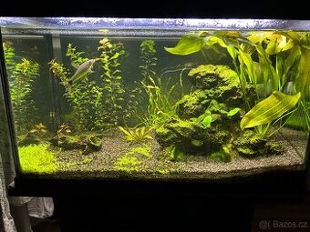 Akvárium Invital Slim Led 65l