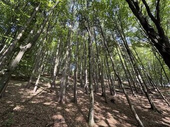 Prodej, pozemek, 4 435 m,  9, Štítná nad Vláří-Popov - Popov