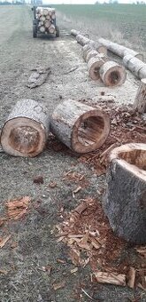 Obrázek k inzerátu: Vykotlane kmeny