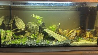 Akvárium 200l