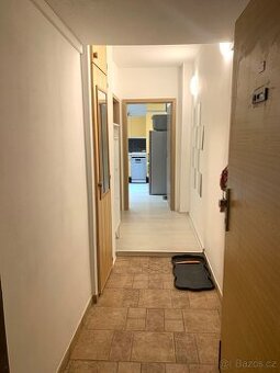 Pronájem 1+1 (40m2) v klidné lokalitě