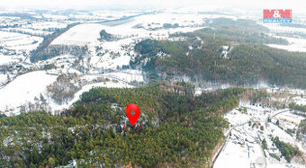 Prodej lesa, 4642 m², Mírová pod Kozákovem - 1
