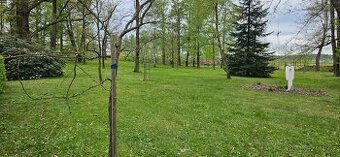 Údržba zeleně - 1