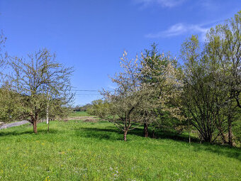 Prodám zahradu 2000m² - Frýdštejn - Sestroňovice