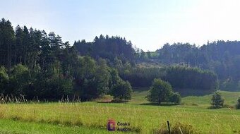 Prodej pozemky - trvalý travní porost, 3 946 m2 - Levínská O