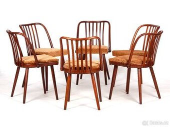 A. Šuman, 6x nově přečalouněné židle TON