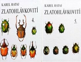 KOUPÍM (brouci): Zlatohlávkovití 4, 5 od K. Rataje