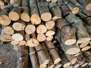 Palivové bukové dřevo suché