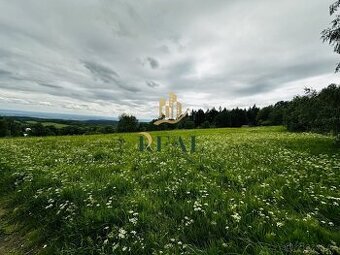 Pozemek, 14 803 m2, OV, Blatno