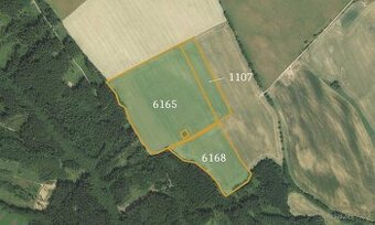Zemědělská půda, prodej, Ostrov, Ústí nad Orlicí - 1