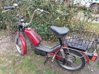 Babetta M 210