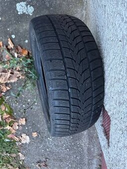Zimní pneu 225/50 r17