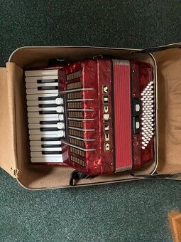 Akordeon delicia