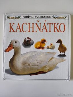 Kachňátko – podívej jak rostou, naučná knížka pro děti - 1