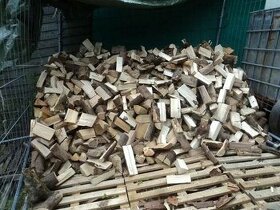 Palivové dřevo dříví měkké tvrdé listnatý suché - 1