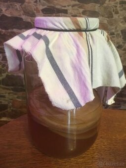 Kombucha v nálevu
