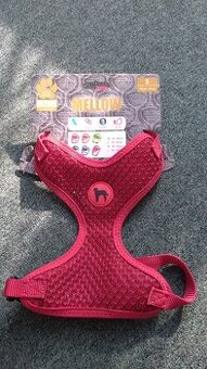Postroj pro psy S - 1