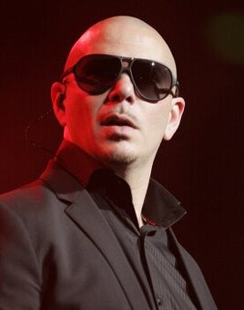 Pitbull praha