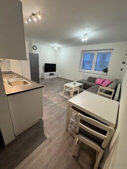 Prodej novostavby 1,5+kk  Kamechy - 1