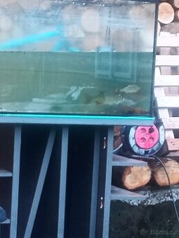 Terárium / akvárium