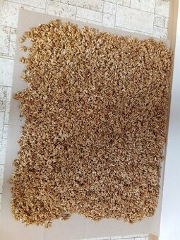 vlašské ořechy-suché