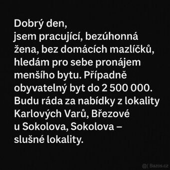 Pronájem - poptávka