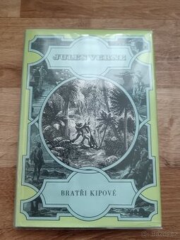 Kniha Jules Verne Bratři Kipové